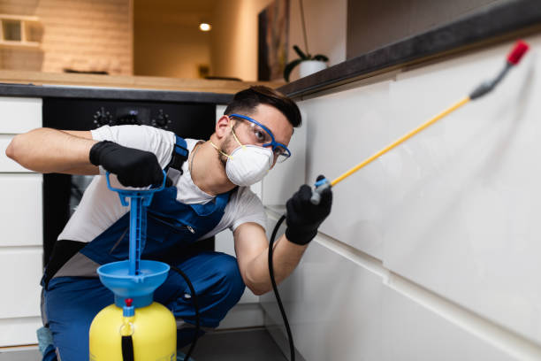 Best Wildlife Control Services  in West Chicago, IL