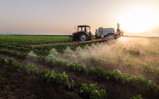 Professional Pest Control in West Chicago, IL