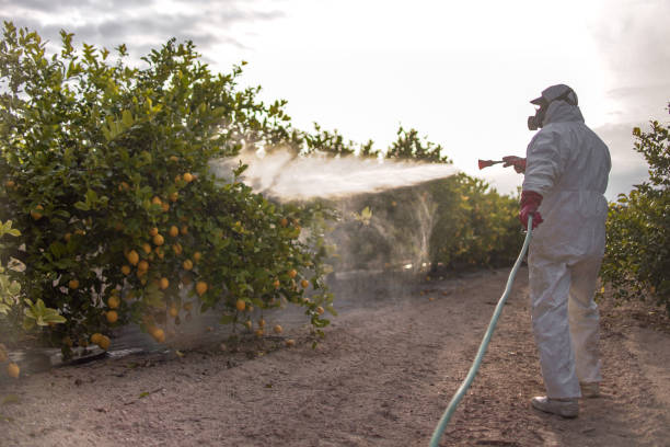 Best Mosquito Control Services  in West Chicago, IL