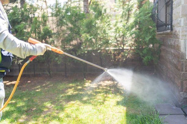 Best Insect Control  in West Chicago, IL