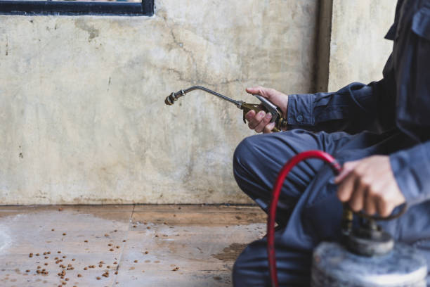  West Chicago, IL Pest Control Pros