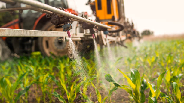 Best Local Pest Control Services  in West Chicago, IL